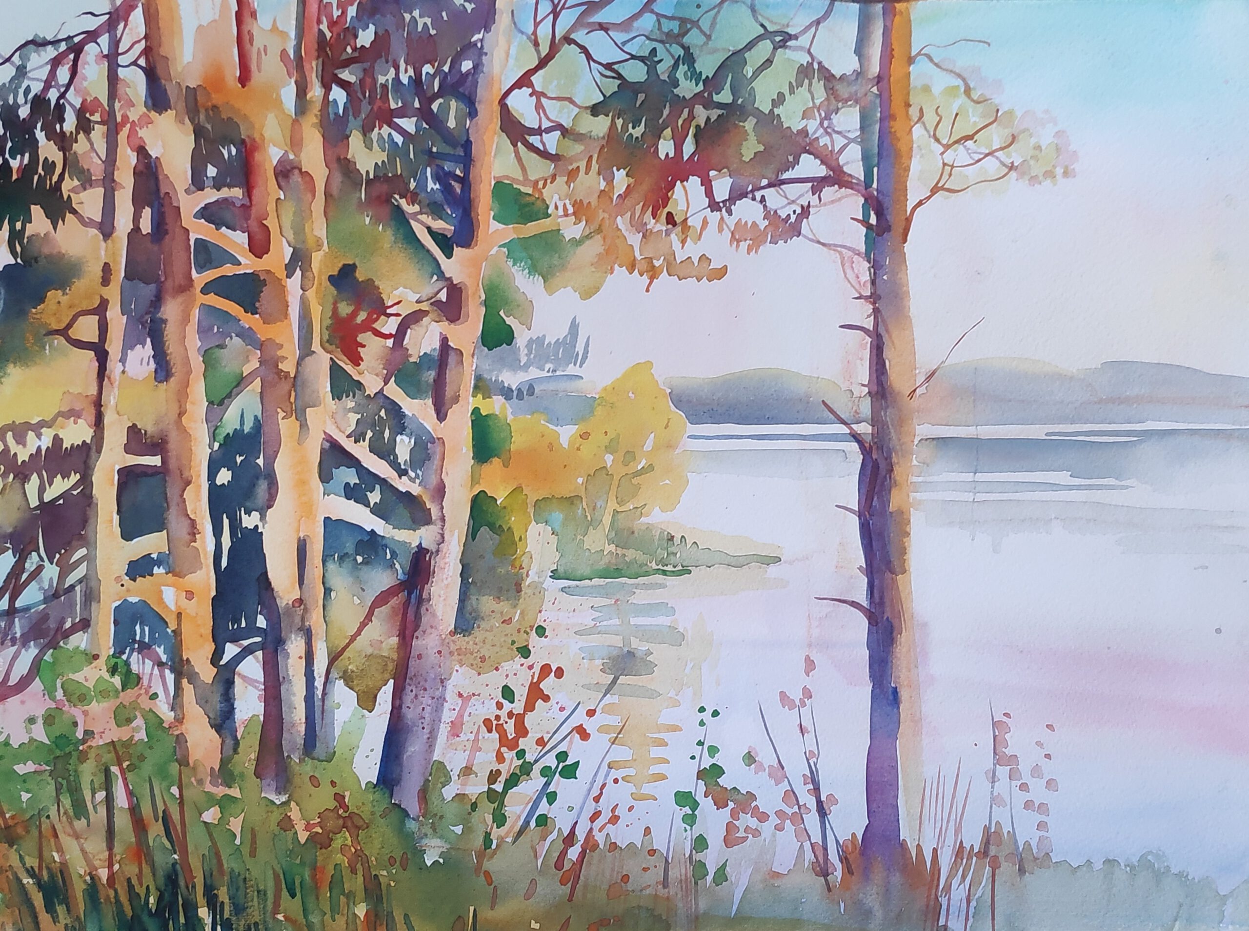 Bild Sommerakademie1